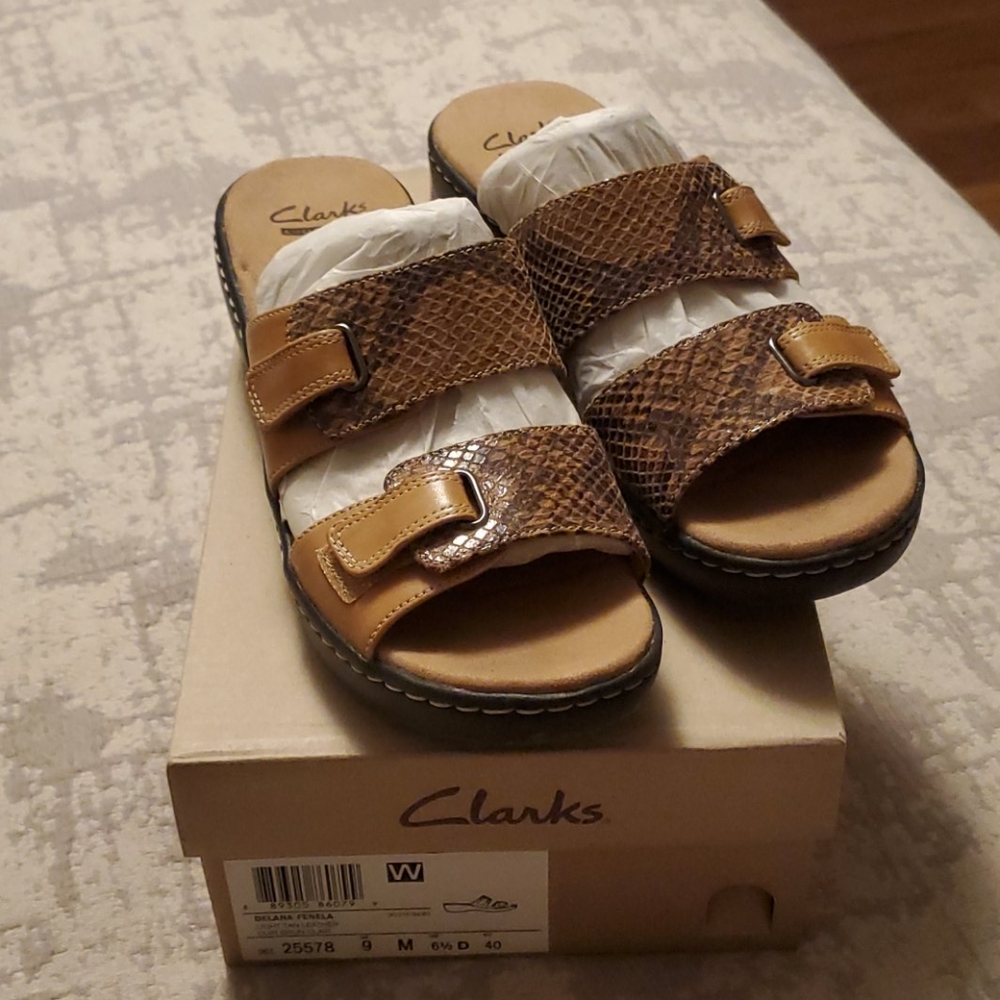 Clark Sandels